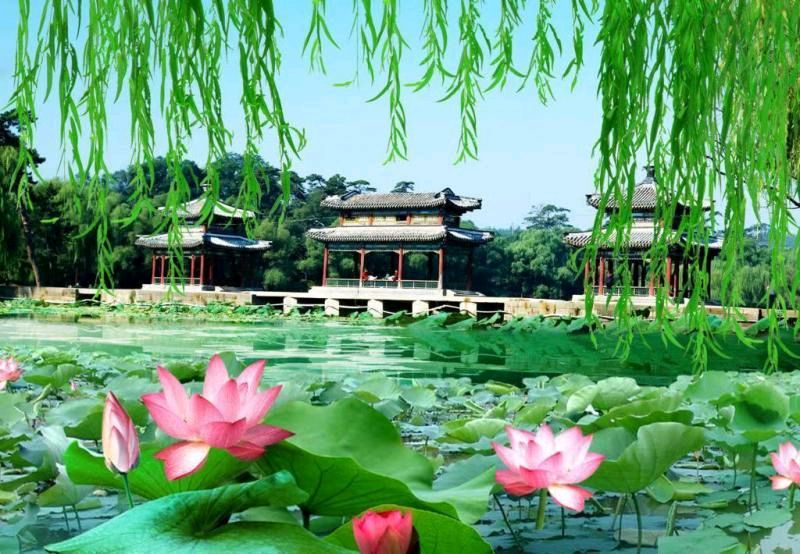 鸿鹄高飞：观 景 悟 道