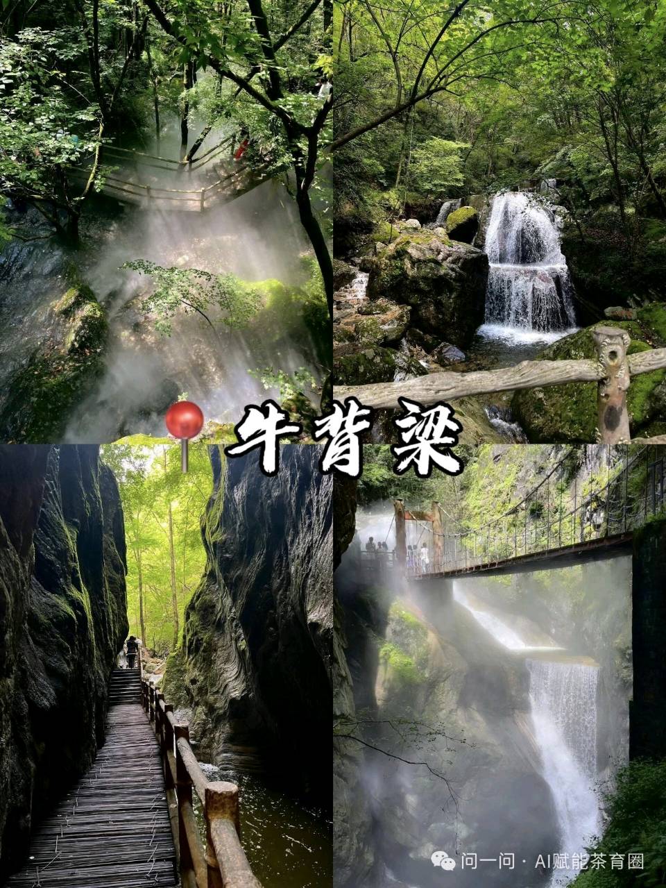 赵长民（旭东）//牛背梁歌一秦岭骨骼三十六韵（图8）