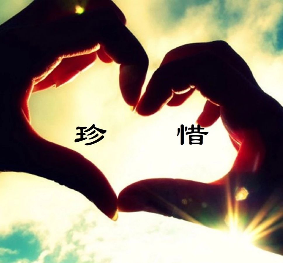 【新山东文学社】《说再见却再也不见》作者/红果 主播/鲁怡秀凤（图5）