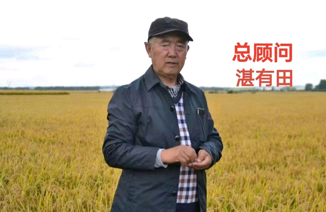 铁力诗词文苑专刊——2026年六、一儿童节《忆童年》诗刊专辑（总第198期）（图5）