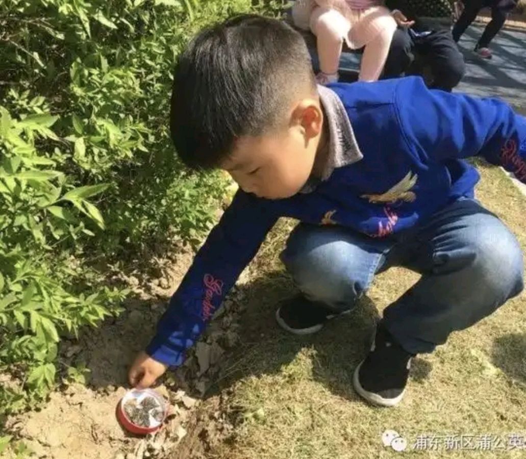 杨建设《小孙孙的心事》诵读：风玲（图3）