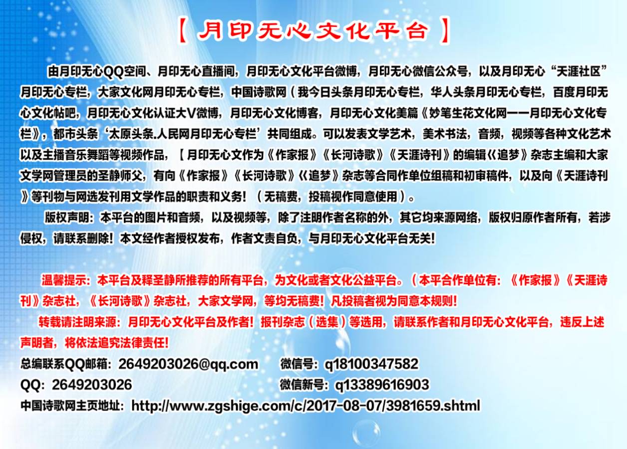 散文推荐◆难忘那片柳树林（图2）