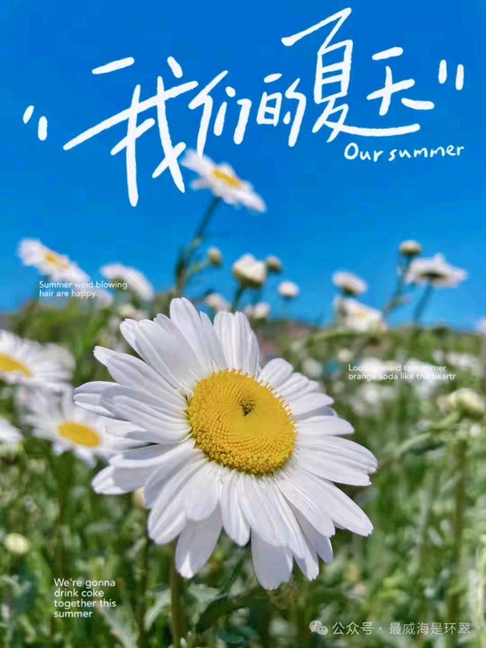 【燕赵文学】散文：五月如歌（河北/范存华）