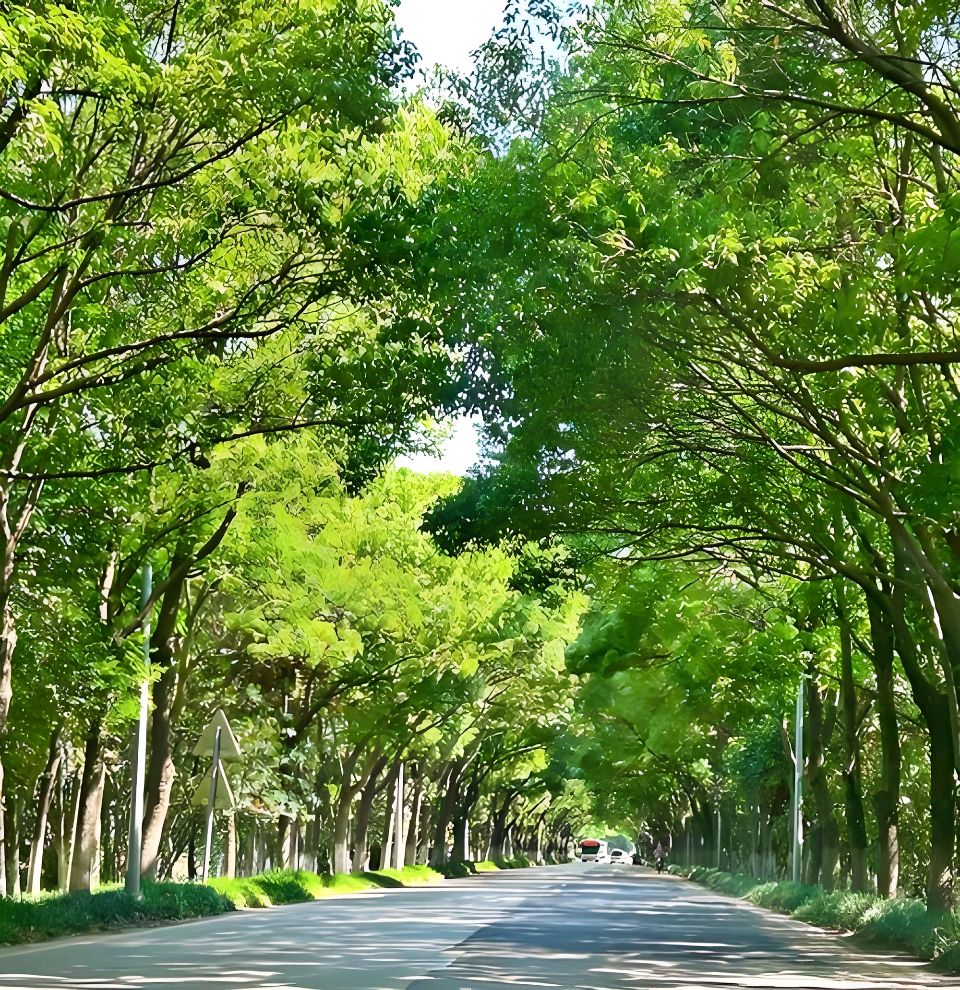 聆听 ‖ 刘欣朗诵《接续春天的力量》作者/侯晋（图6）