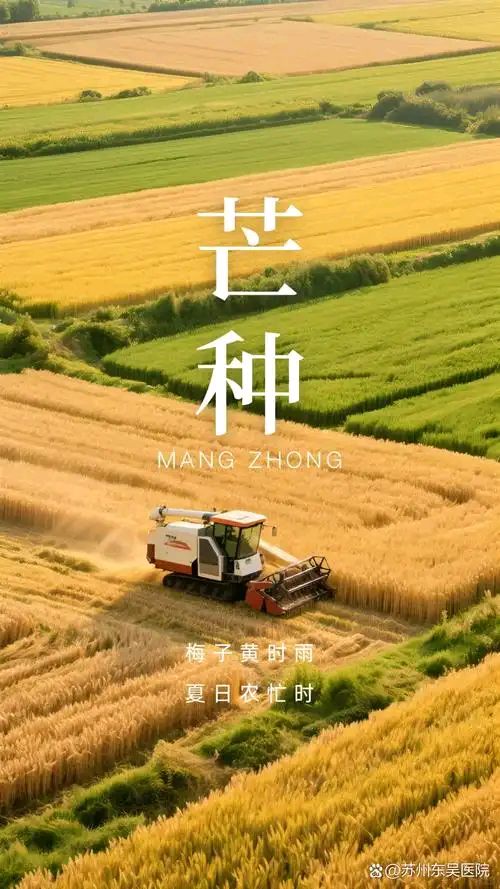七律//芒种 作者//唐增虎（山东）（图3）