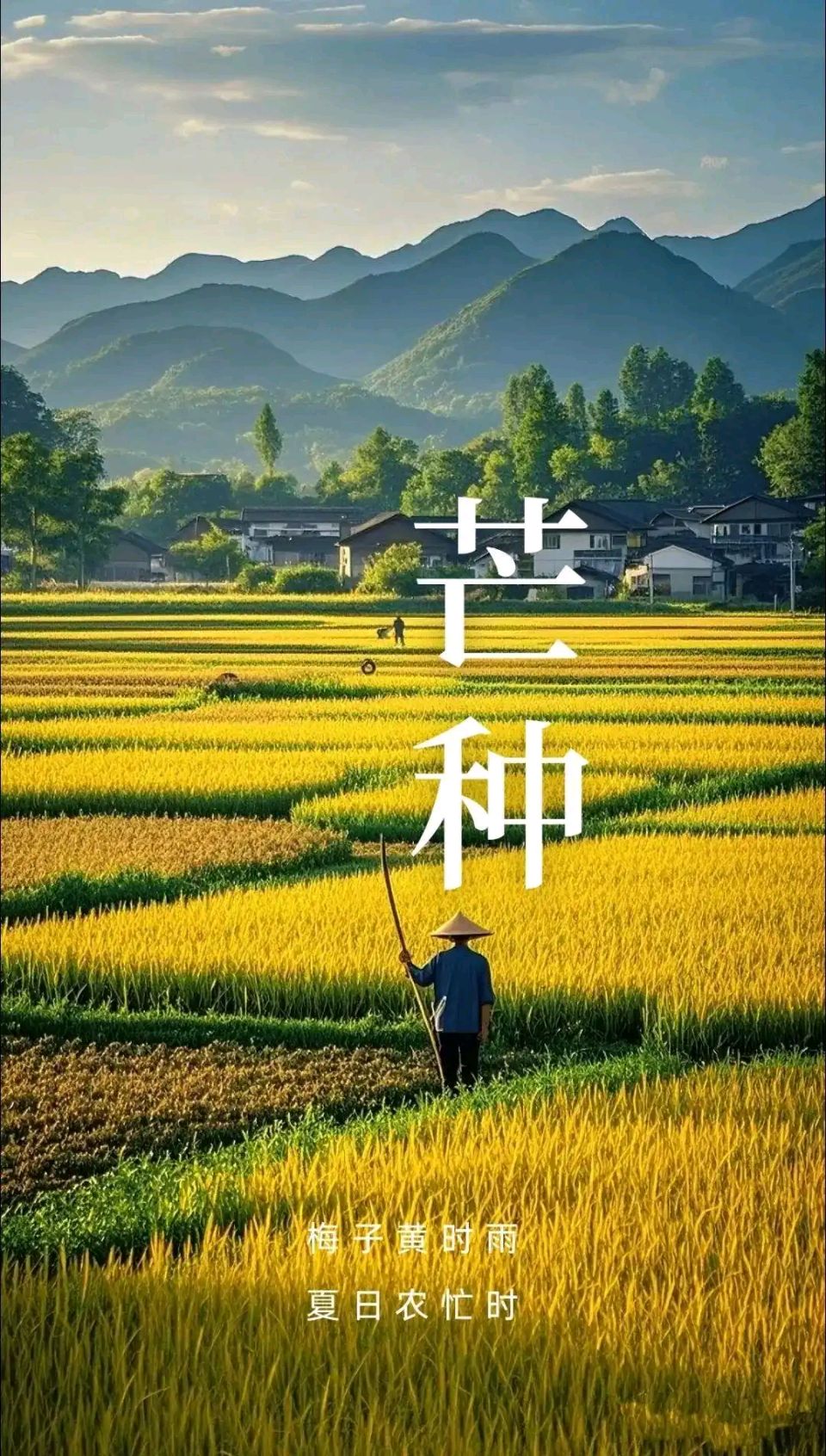 七律//芒种 作者//唐增虎（山东）（图4）