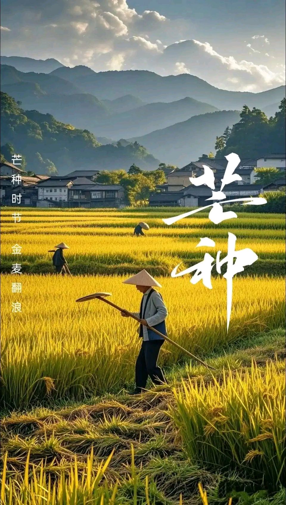 七律//芒种 作者//唐增虎（山东）（图5）