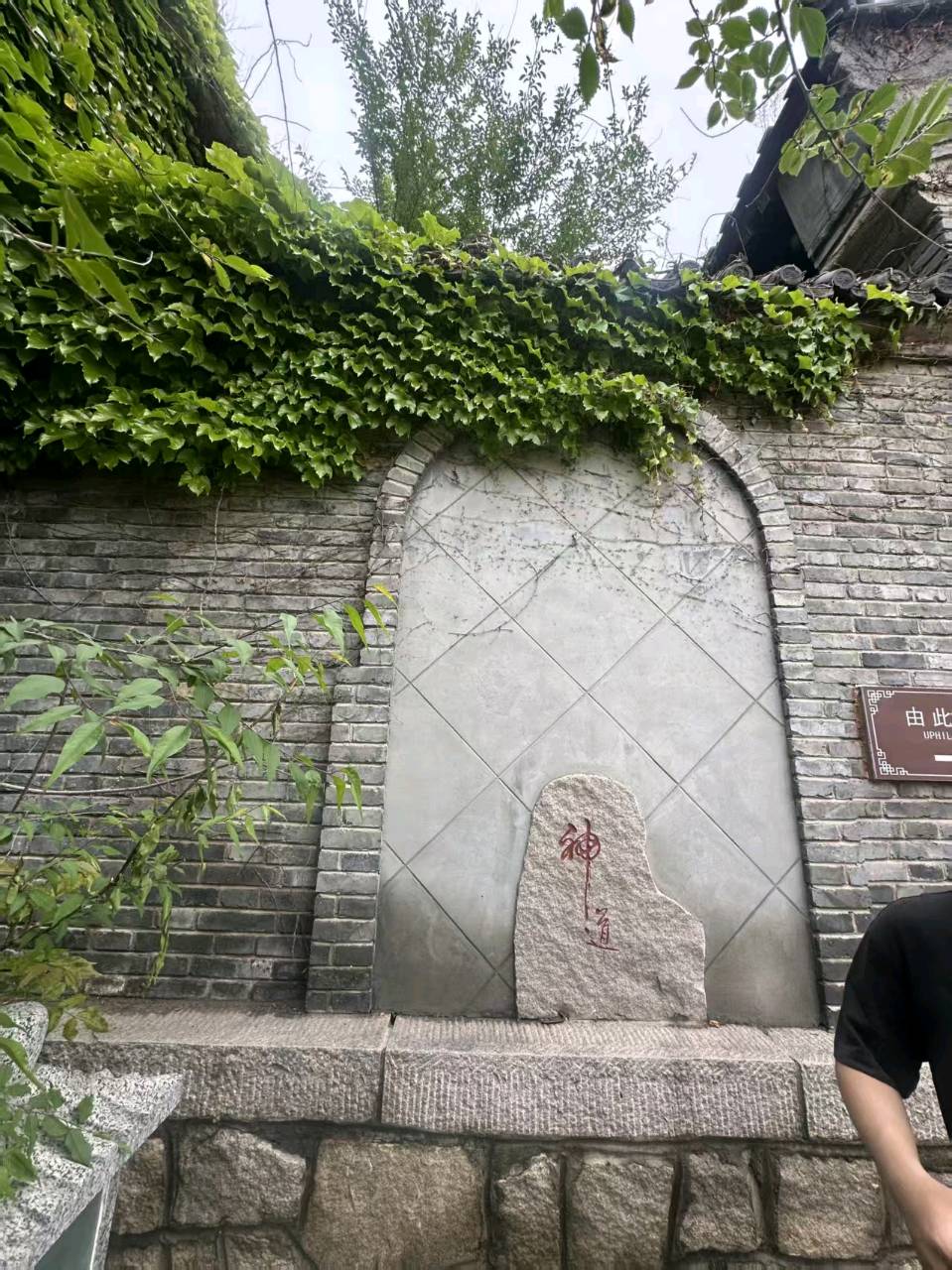【都市头条向幸福出发编辑部】第15862期 人与自然 文/王树霞（图7）