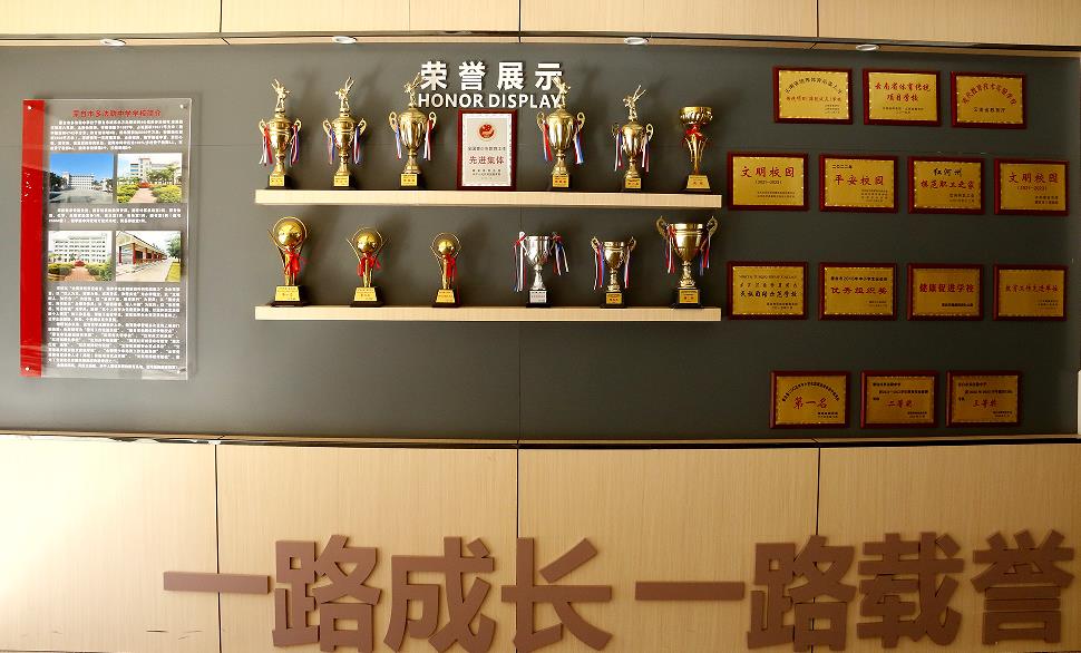 云南蒙自‖乡村少年从稻草垫“摔”向全国赛场(图6)
