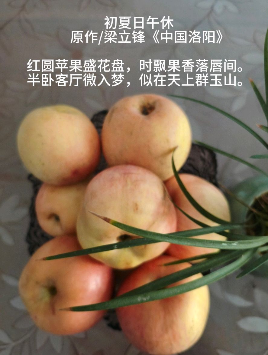 初夏日午休 原作/梁立锋