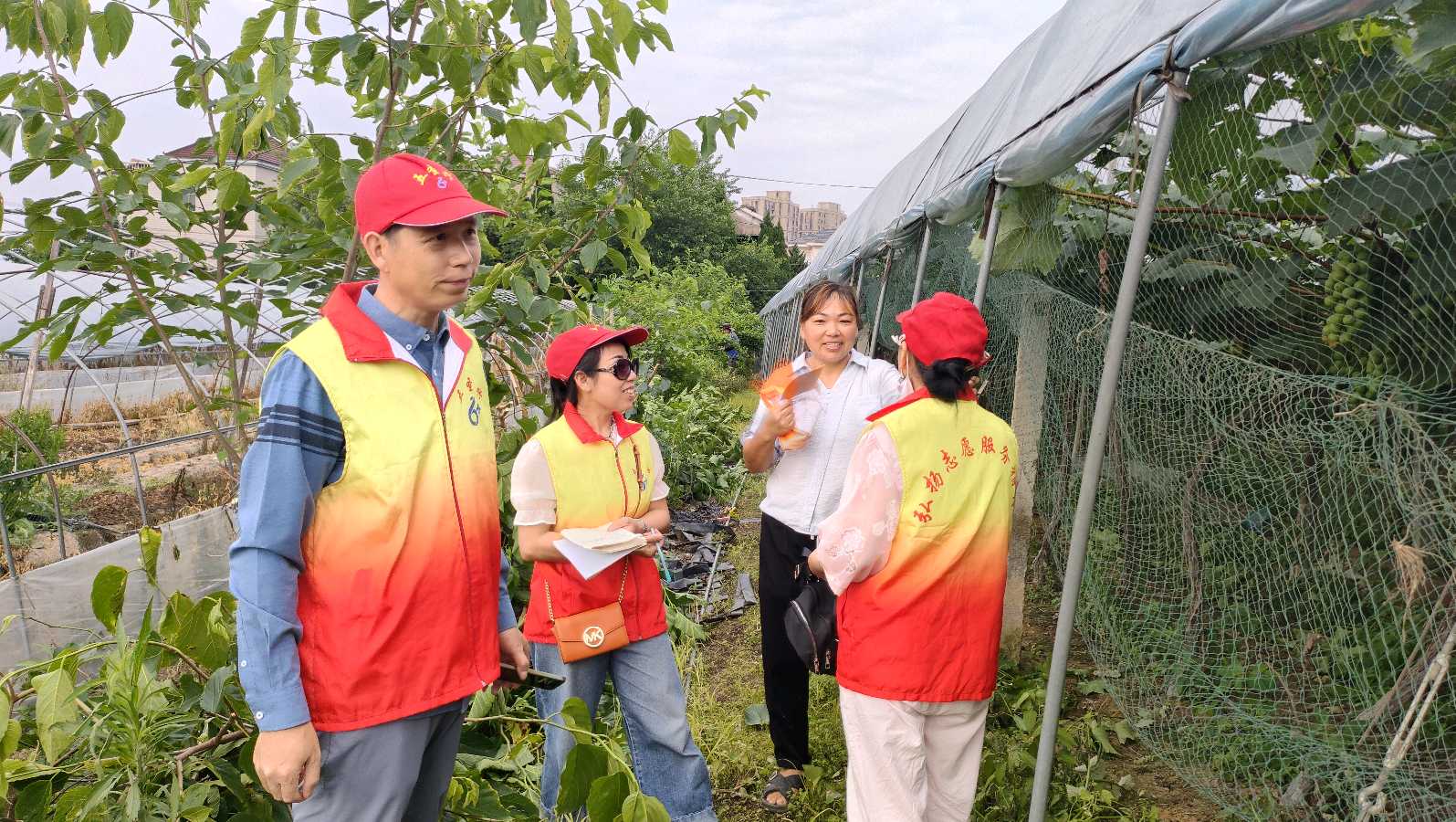 走访田间察实情 志愿赋能产业兴（图2）