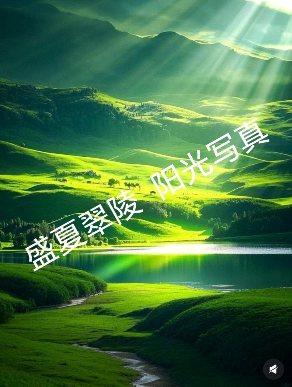 自由体《夏意人生》(外一首) 作者/郑金波（图7）