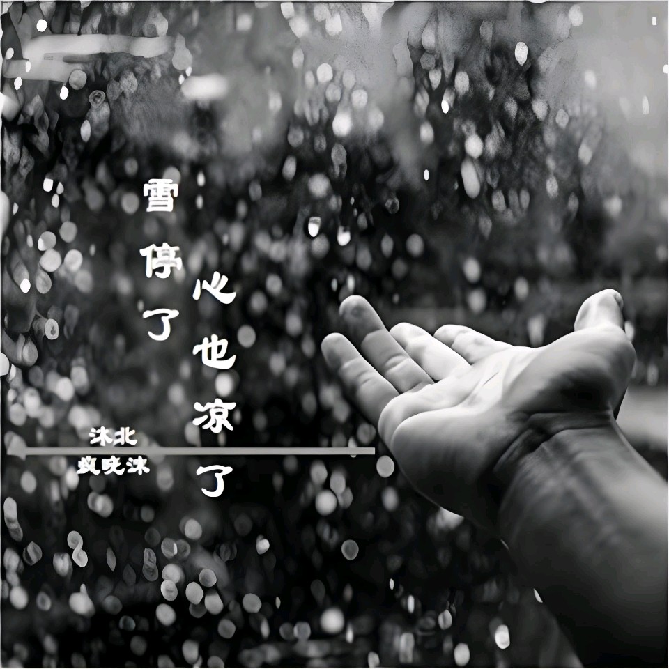中华红旗国际诗社~北京头条~雪停了，我的思念落了一地:作者/王宏宇:主播/金苹果（图4）