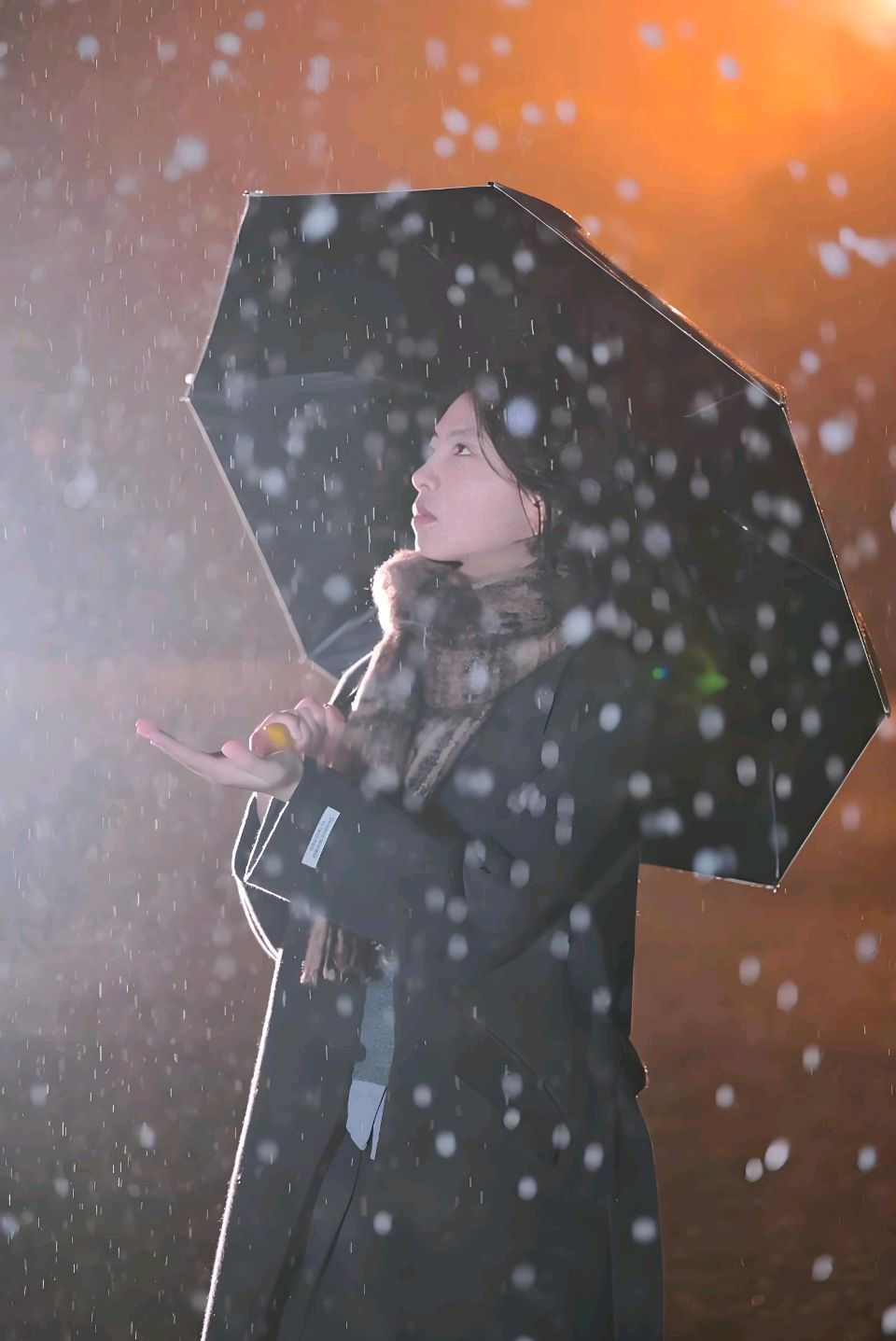 中华红旗国际诗社~北京头条~雪停了，我的思念落了一地:作者/王宏宇:主播/金苹果（图6）