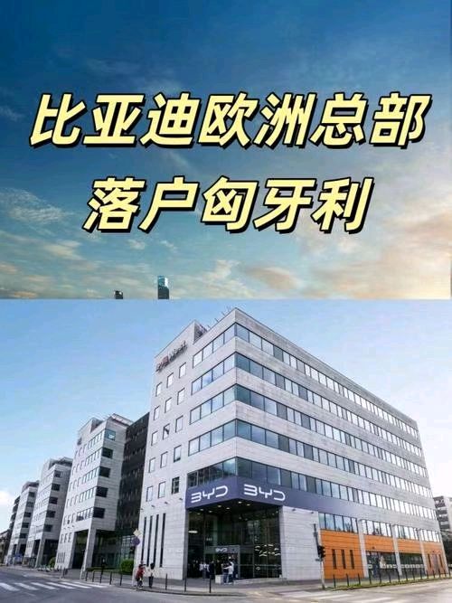 联机全球发布谢瑛中作品欣赏(图19)