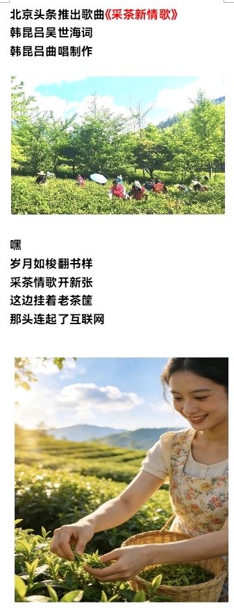 北京头条推出歌曲《采茶新情歌》韩昆吕吴世海词韩昆吕曲唱制作(图3)