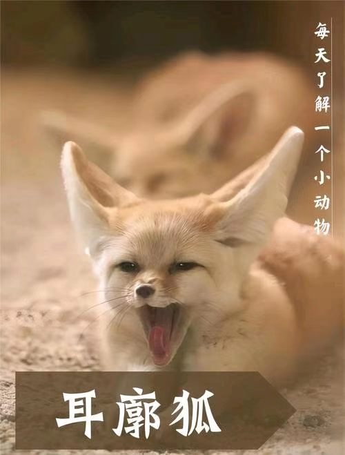 【荣耀中国】文学社*万菊芳现代诗第16期（图5）