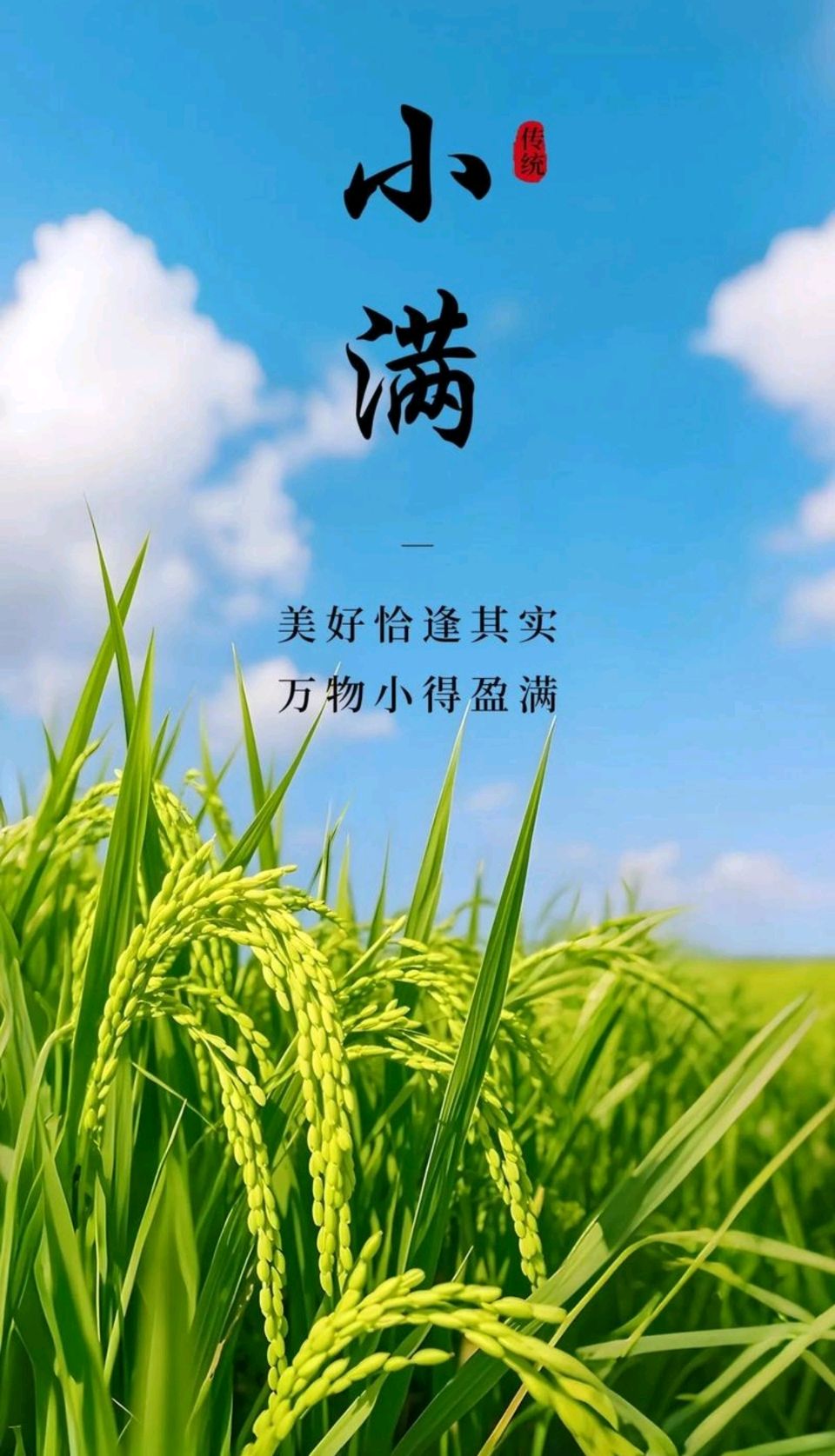 张昕夏初诗词四首