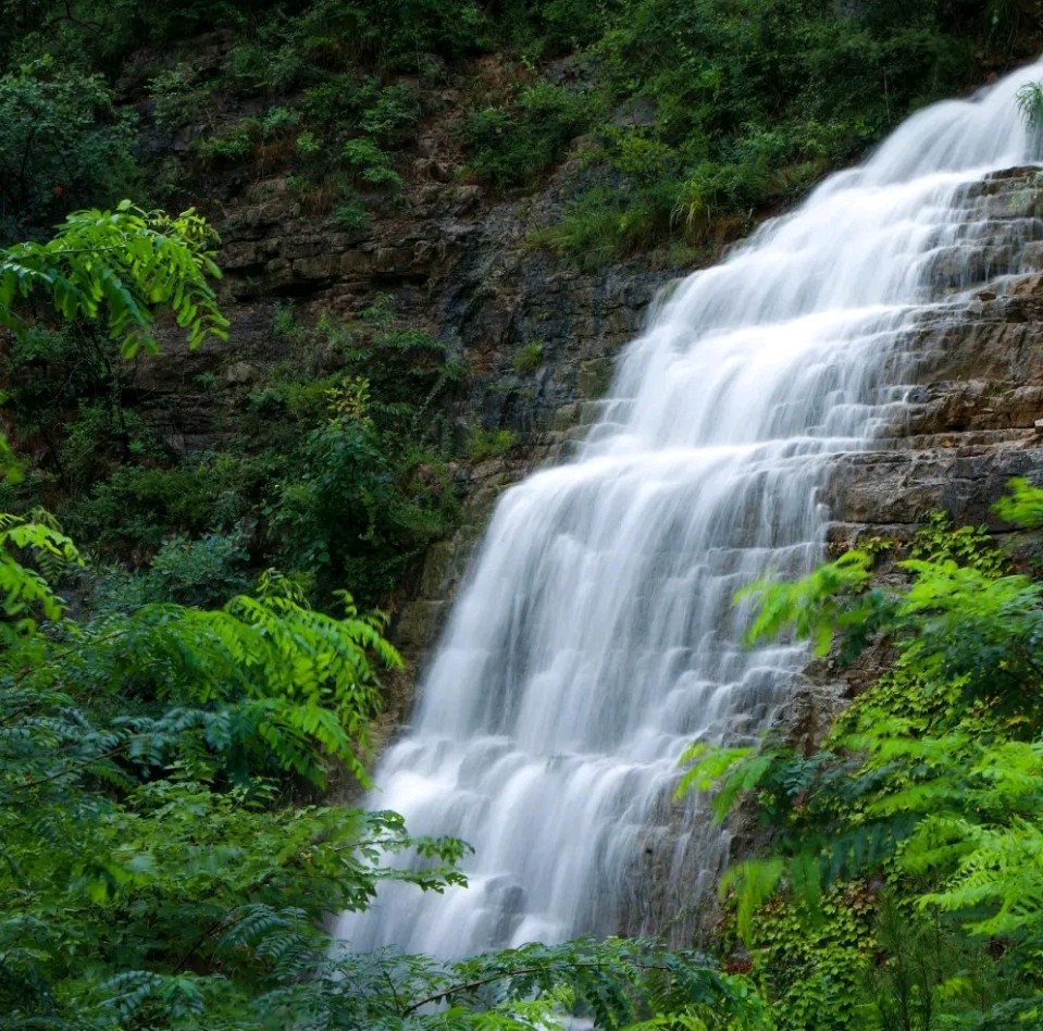 青山叠翠瀑飞流 群鸟鸣歌赛劲喉《名家在线诗·词·散文》——听雨斋诗社【3094期】（图6）