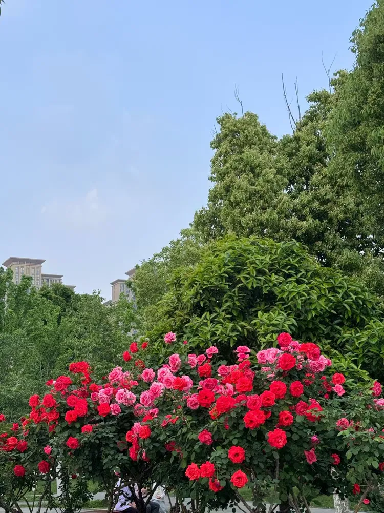 微信图片_20260530234002_984_11