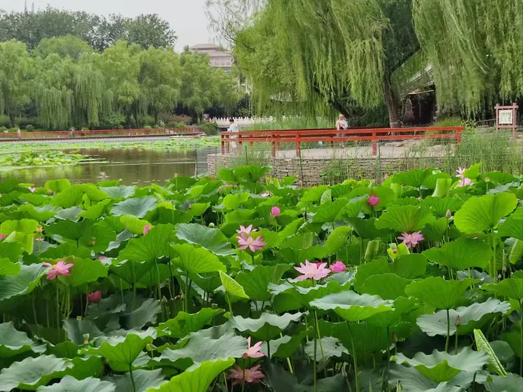 微信图片_20260602155326_1158_11