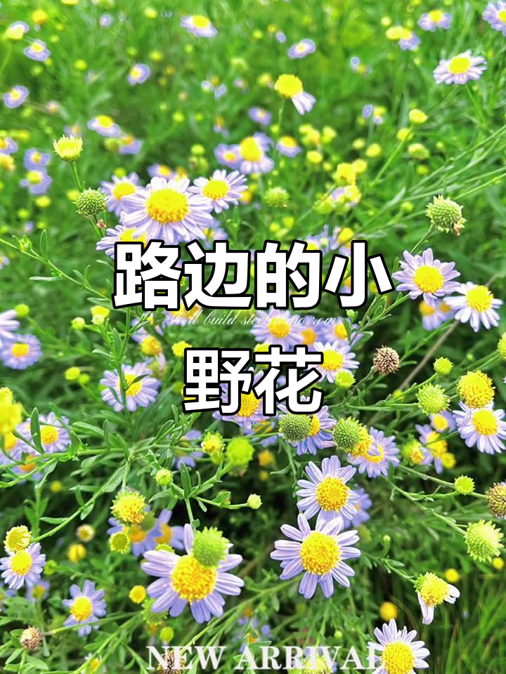 【中国雨巷文学社】北京头条 第3545期 现代诗《等来年》外一首 作者:虬岛 - 北京(图5)