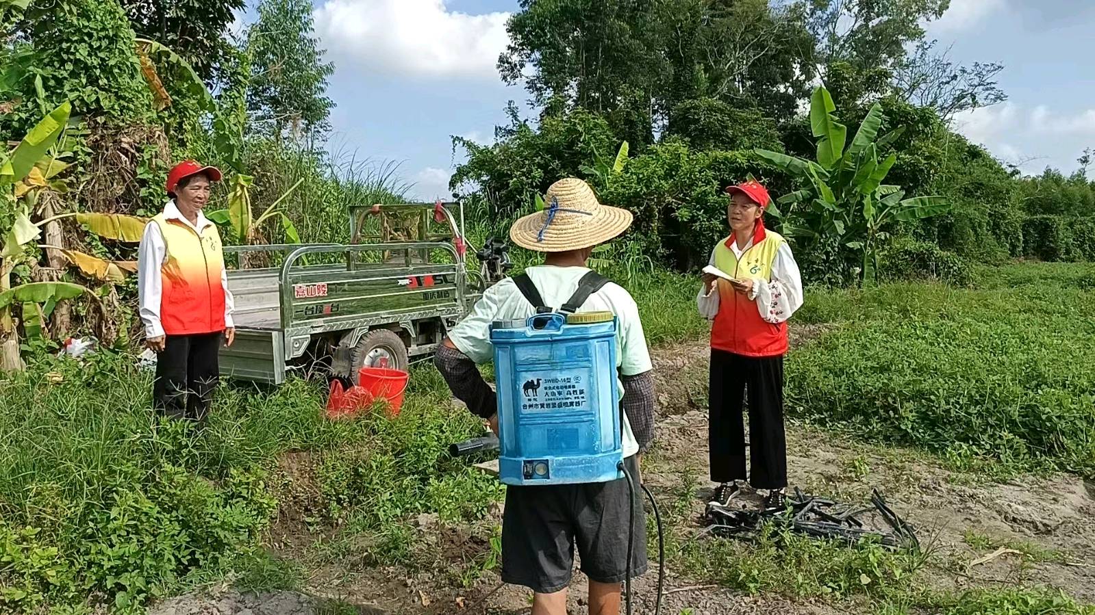 田间听民情 地头察农情
