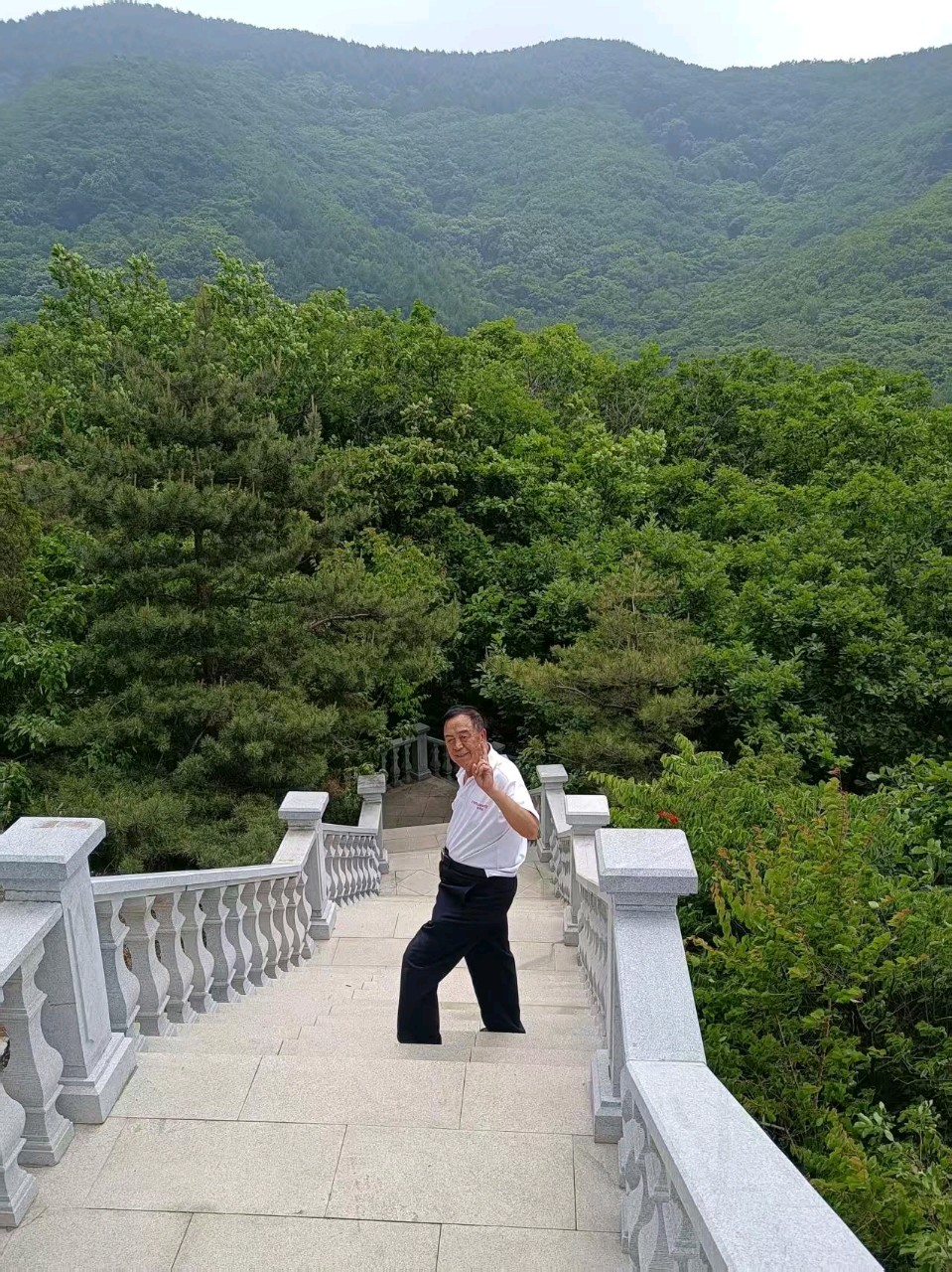 《中华好诗词》分享优秀作家诗人姚树学先生组诗请欣赏（图13）