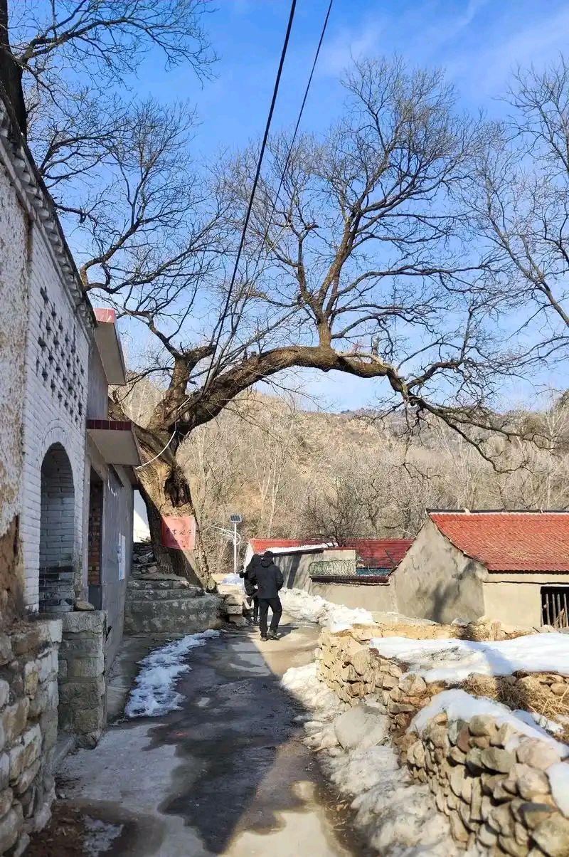 秦世忠：诗歌精选(2)||巴彦诗协【1163】（图14）