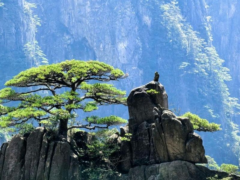 【贾鹏翼】黄山之韵（图4）