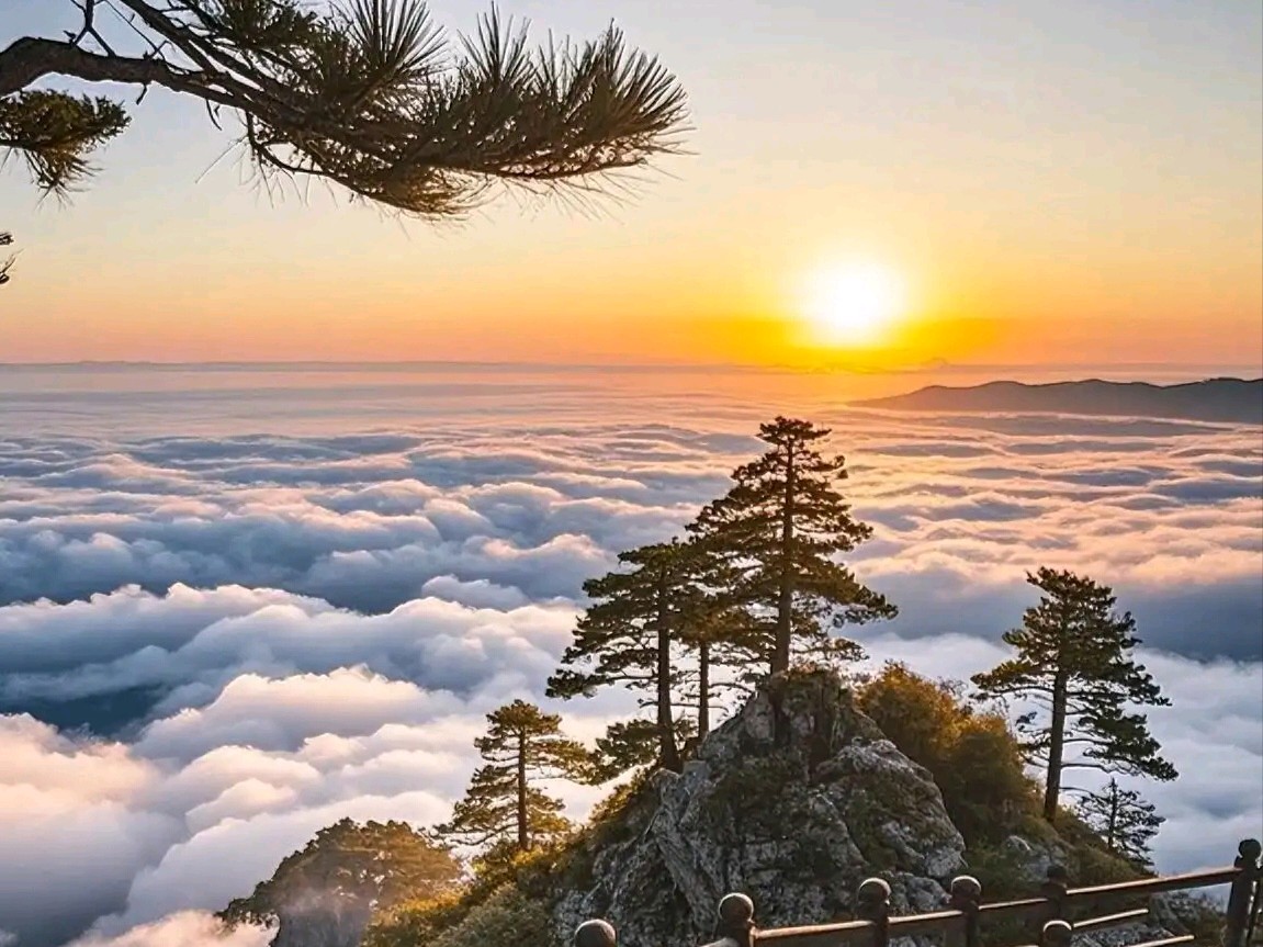 【贾鹏翼】黄山之韵（图6）