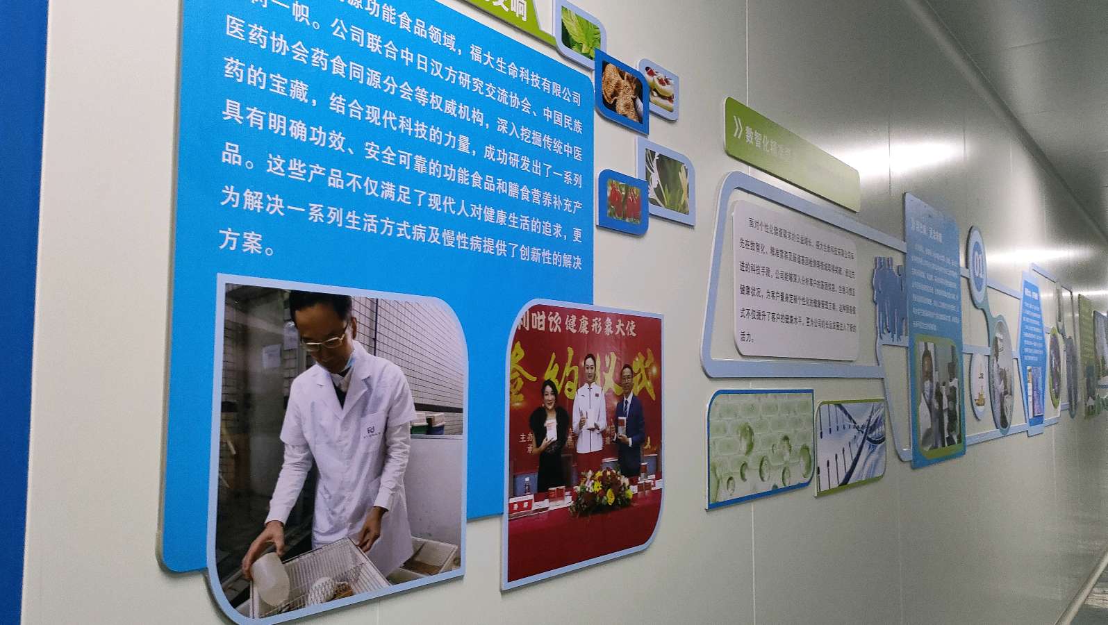 广州:“荒山野”携手“众得康”,“调压茶”呵护亿人康——粤港澳大湾区健康产业的创新样本(图8)