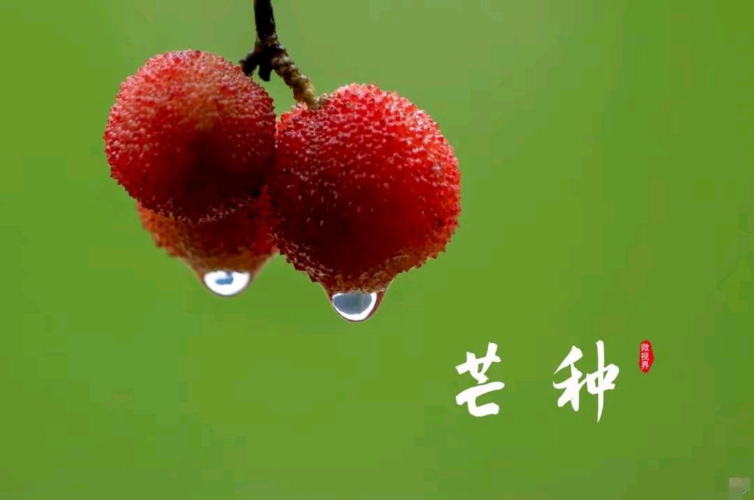 【荣耀中国】文学社*七律•芒种吟姚克林（安徽）（图4）