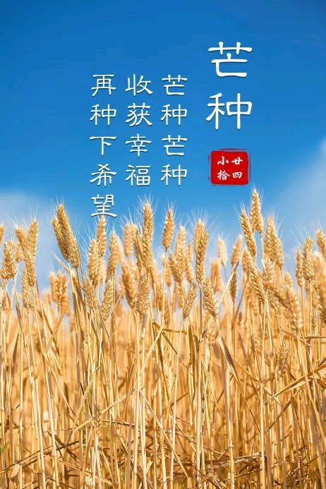 【荣耀中国】文学社*七律•芒种吟姚克林（安徽）（图5）