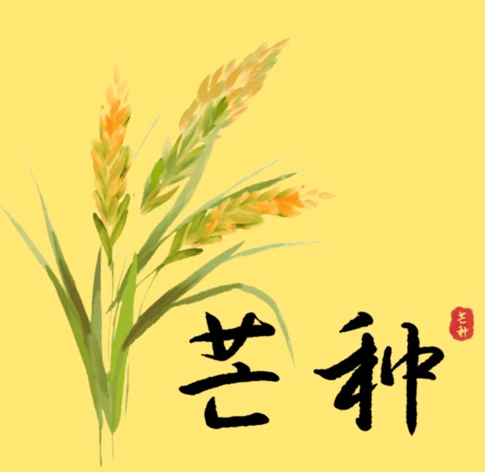 渔歌子*芒种抒怀【外一首】 作者:金夜（兰州）（图2）