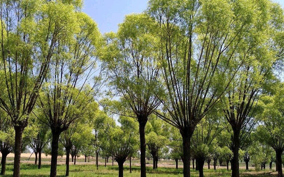 3076.折叠在肉眼里的海（外一首）文/林水火（福建）（图4）