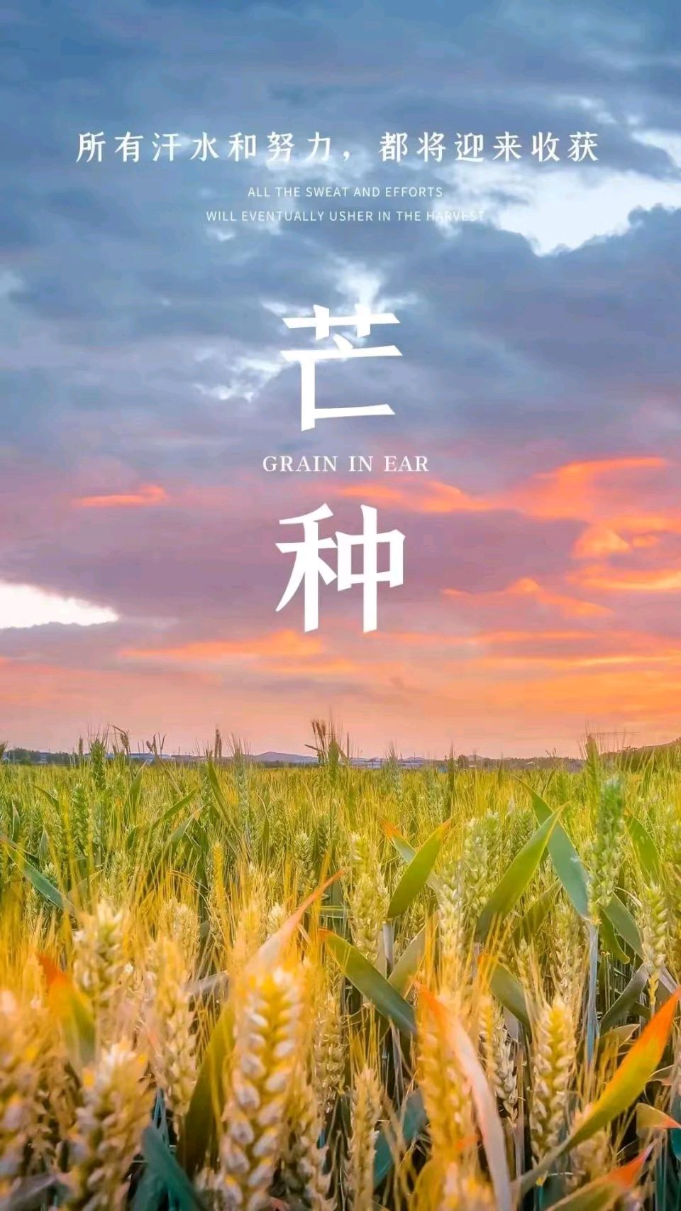 【荣耀中国】文学社*芒种文/王富保（图3）