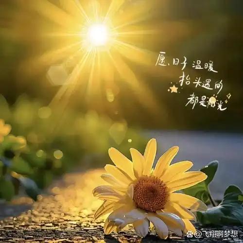 狄安娜：麻木的火焰（图3）