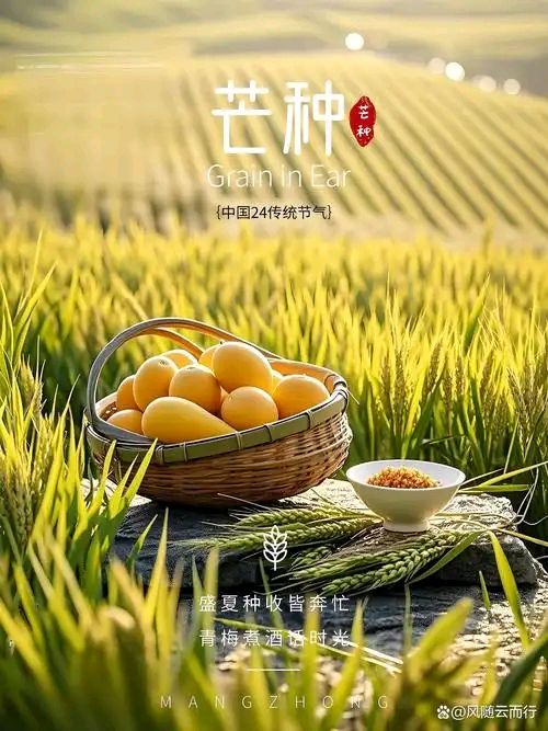 芒种||巴彦诗协【1165】（图4）