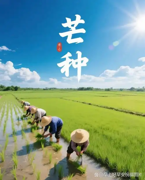 芒种||巴彦诗协【1165】（图5）
