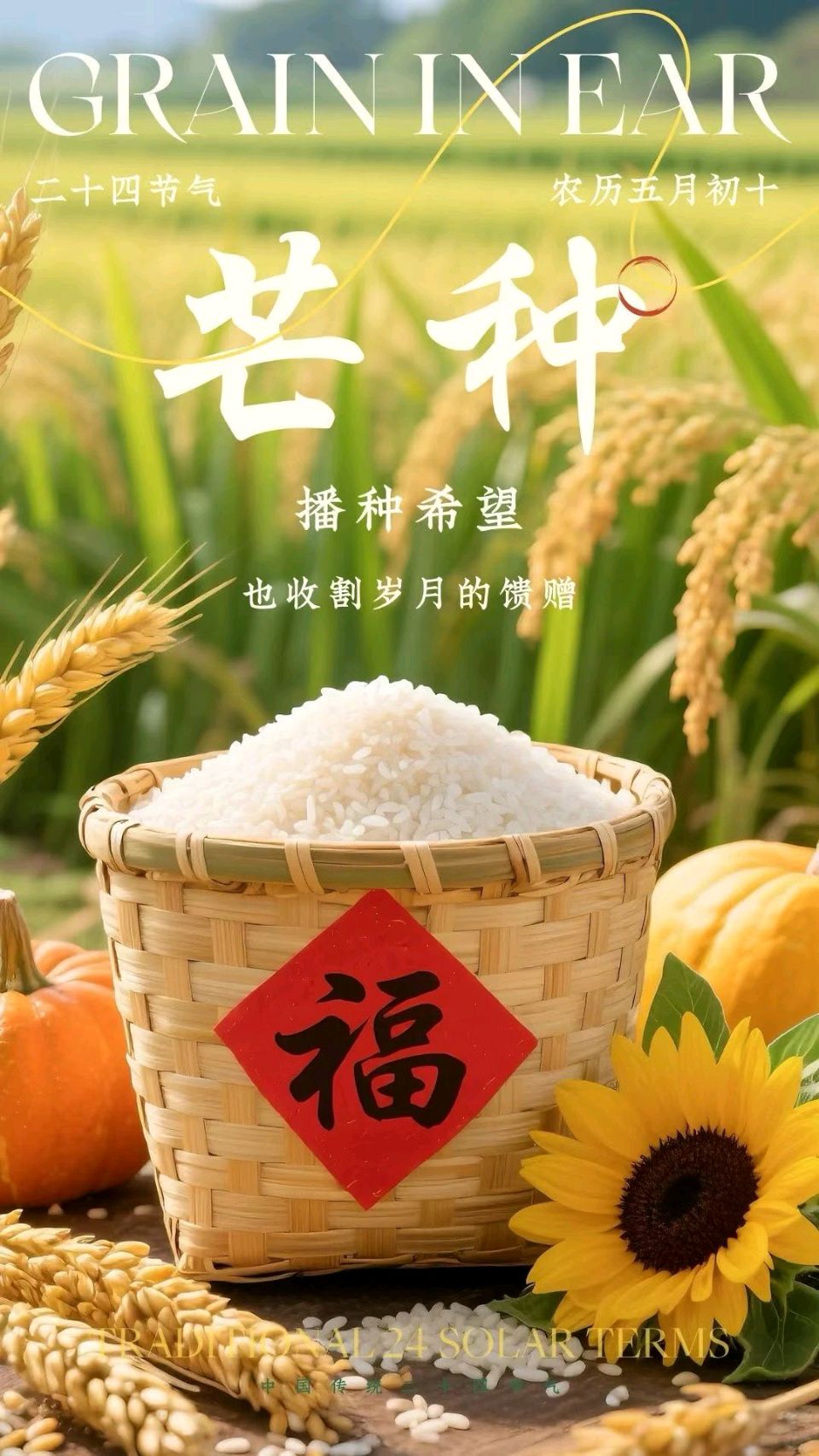 《九江文学社.北京头条》丙午芒种节气专刊