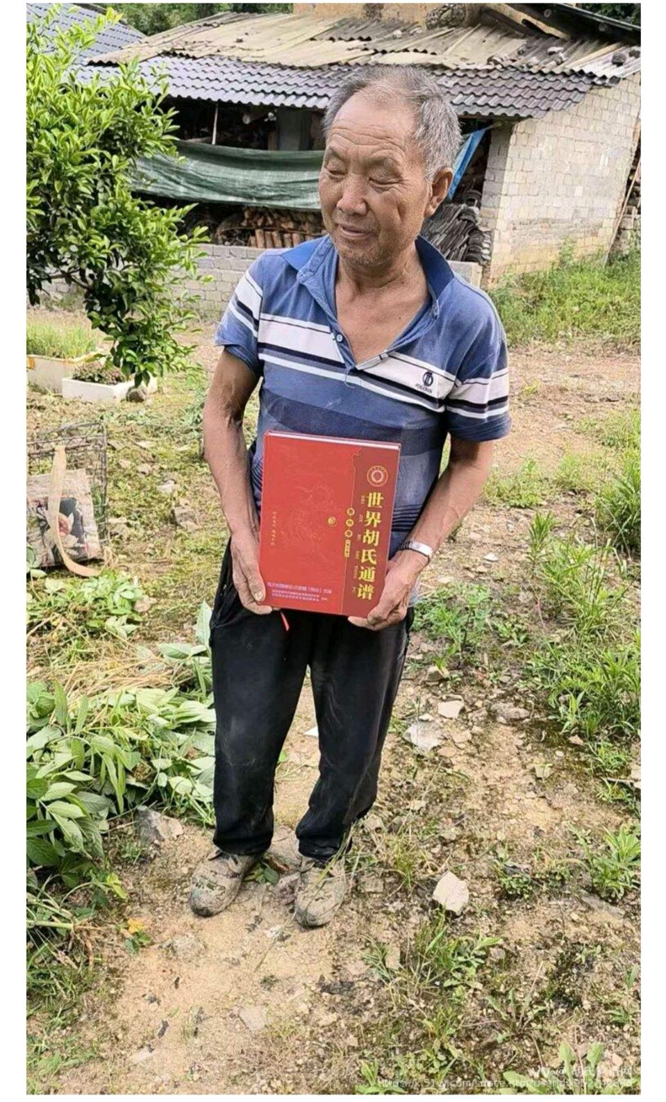 《世界胡氏通谱》（贵州卷•第三卷•锐公支系世系谱）家谱付梓出版（图9）