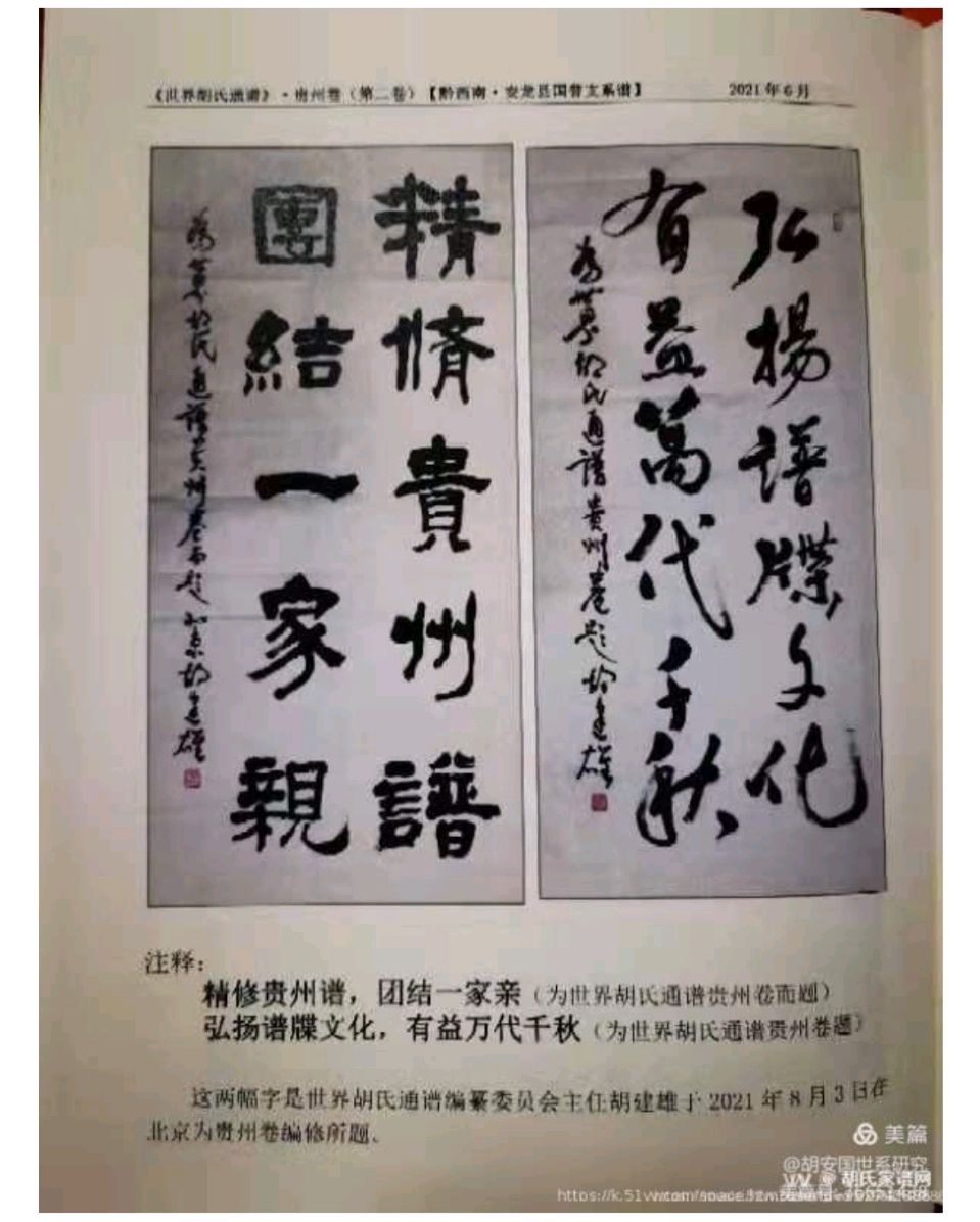 《世界胡氏通谱》贵州卷•第二卷（黔西南•安龙县“国普”支系）颁谱仪式举行（图8）