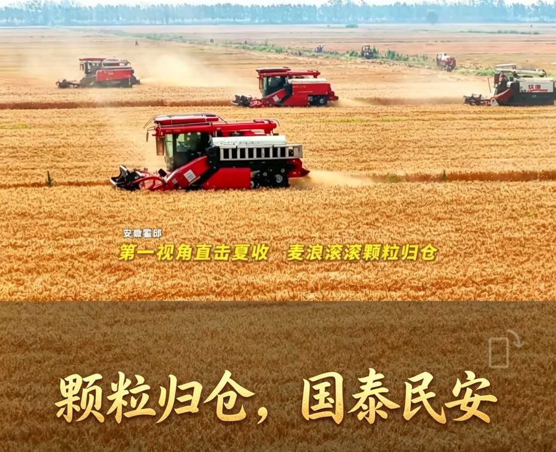 麦浪滚滚，人间安澜