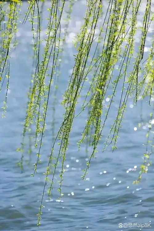 对句练习(64)巴彦诗协【1166】（图3）