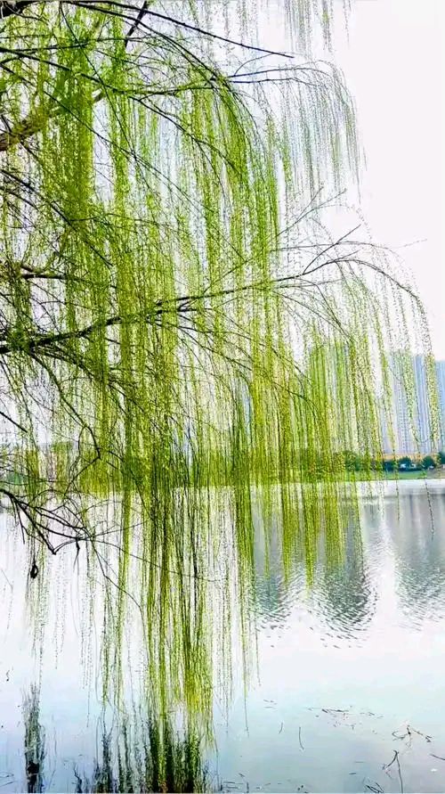 对句练习(64)巴彦诗协【1166】（图6）