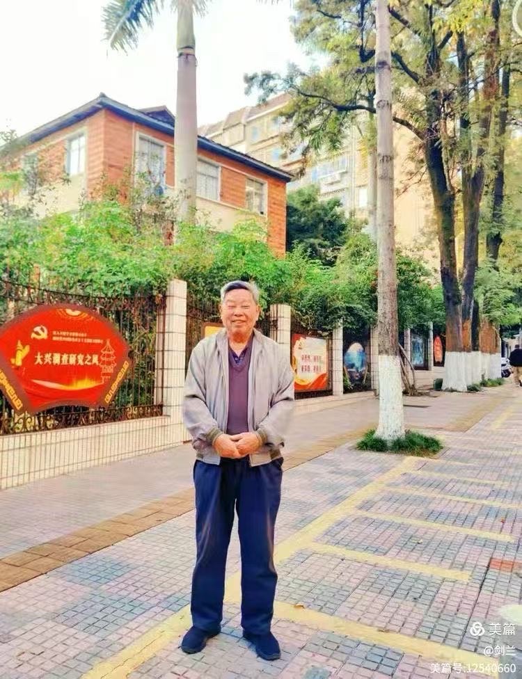 海外头条：采风大航海家'王景弘茶' 基地｜作者||张永和（图12）