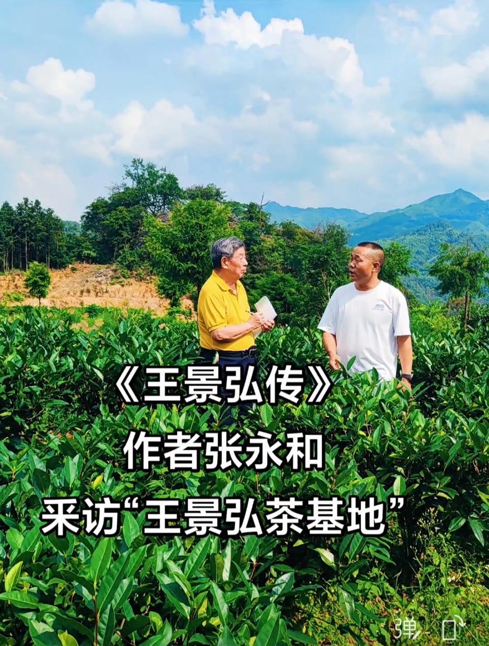 海外头条：采风大航海家'王景弘茶' 基地｜作者||张永和（图5）