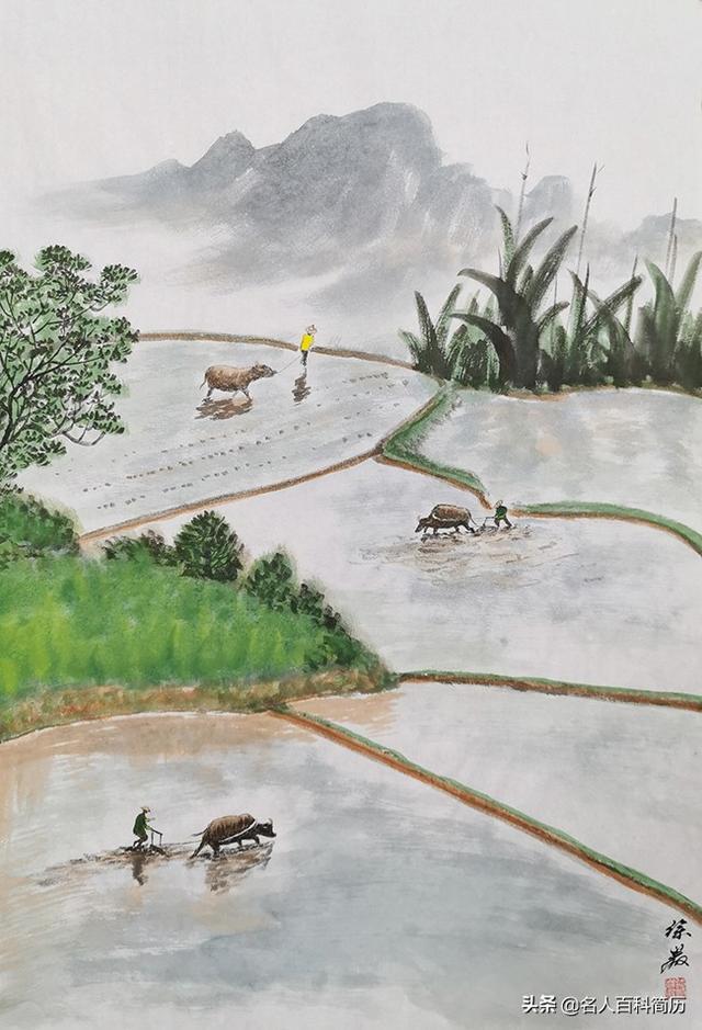 文章图片11