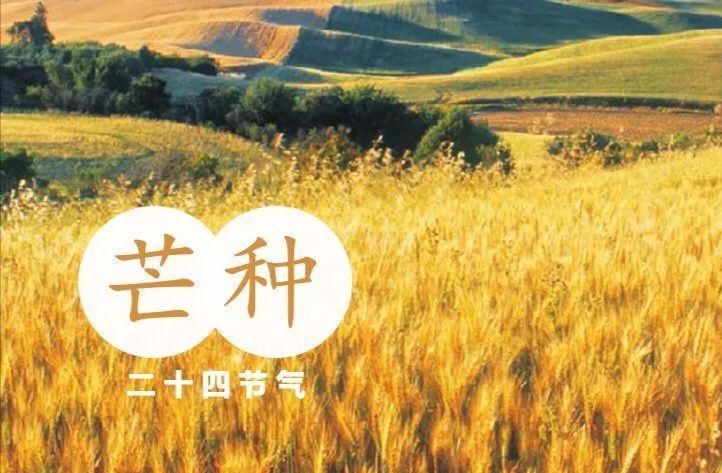 《中华好诗词》分享（河北）优秀诗人罗崇亮先生《高考逢雨、芒种》五首请欣赏（图7）